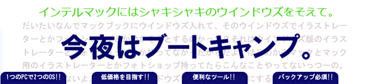 今夜はブートキャンプ7.gif